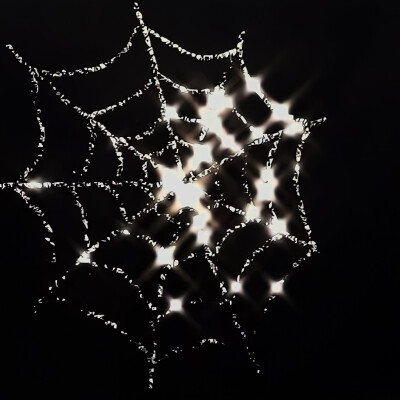 ♡･Raven's Midnight Waltz ･♡