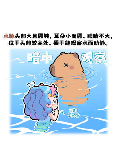 水豚憨态可掬的外表
﻿﻿@艾瑞巴蒂EveryBuddy﻿ ﻿@知识薯﻿ ﻿@薯宝宝﻿ ﻿@人文薯﻿ #巴蒂和她的朋友们#拥抱自然开心每一程#巴蒂魔法学院#原创漫画#科普#海洋#趣味知识科普﻿#水豚#卡皮巴拉