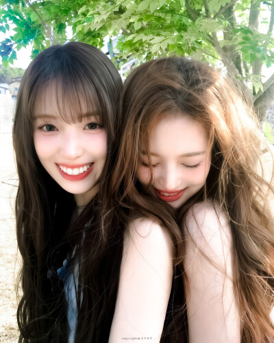 Sullywoo