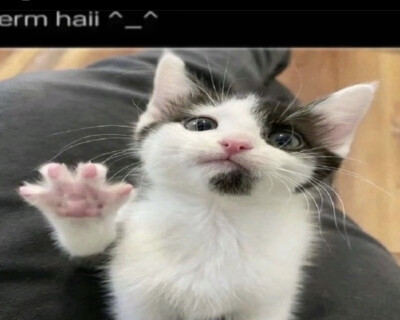 ummmmhi