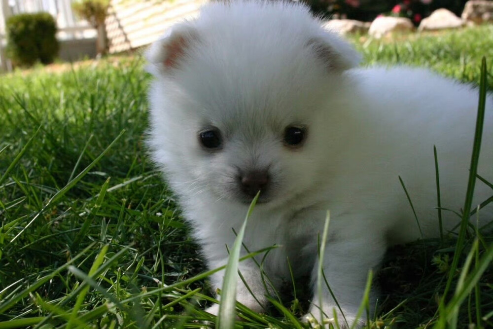૮₍ ᵔ⤙ᵔ ₎ა
