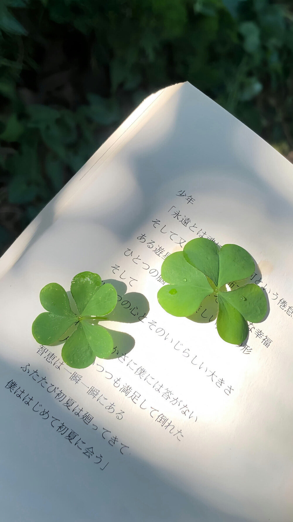 绿色系壁纸 小众壁纸