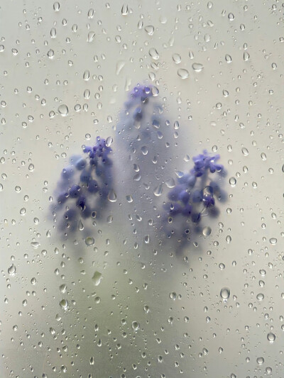 雨天背景图