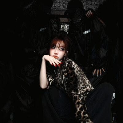 Gothic Castle Whispers-哥特古堡密语-