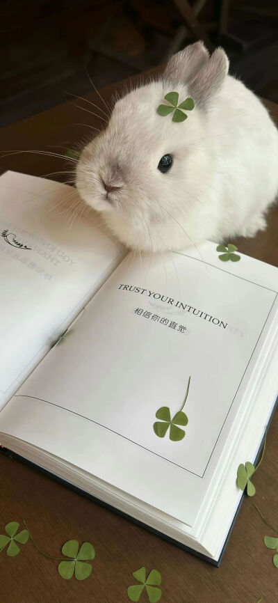 背景图
