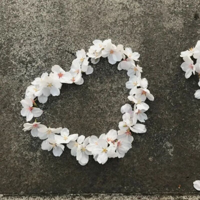 背景图
