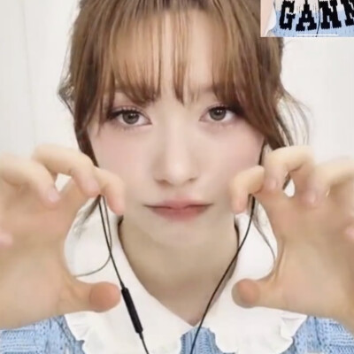 文夏奈尔