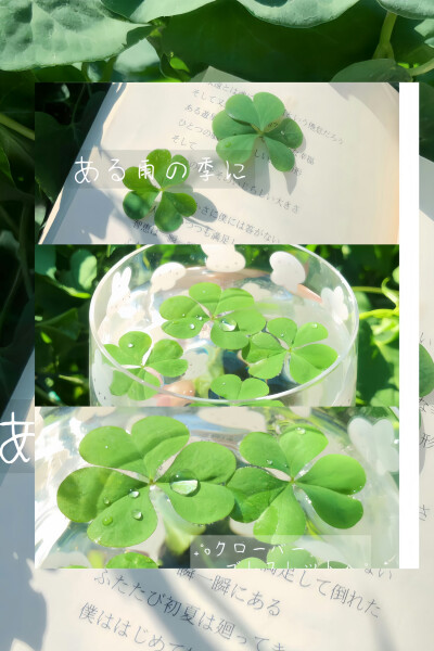 绿色系壁纸