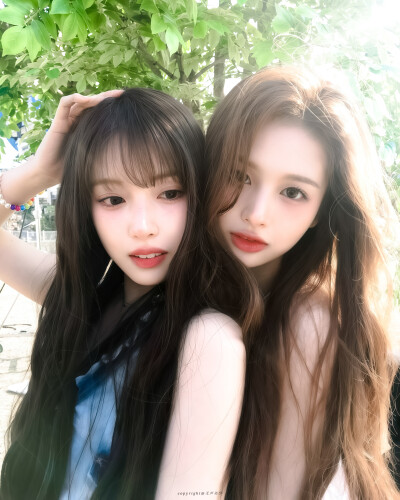 Sullywoo