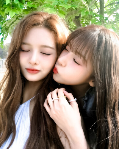 Sullywoo
