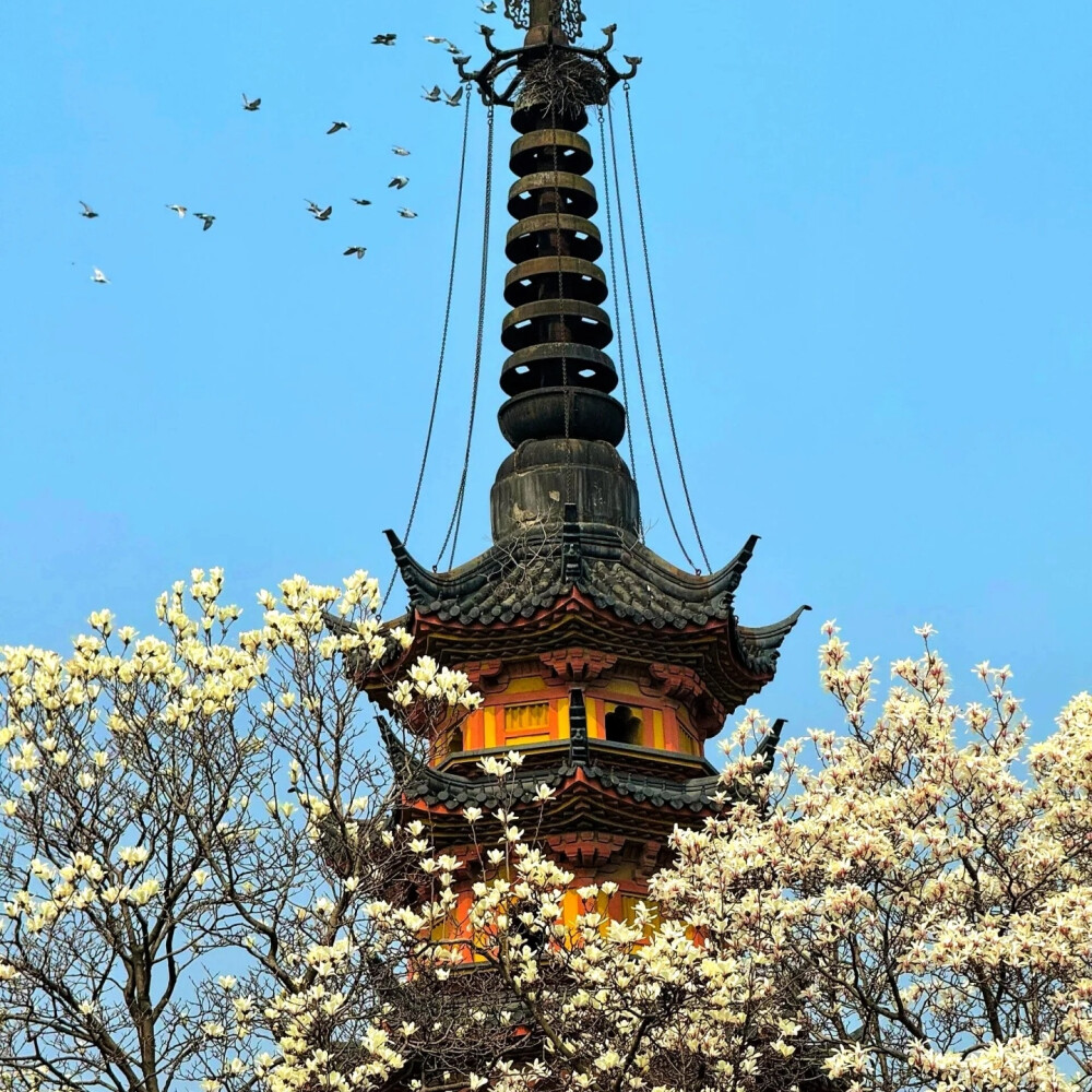 古风背景图