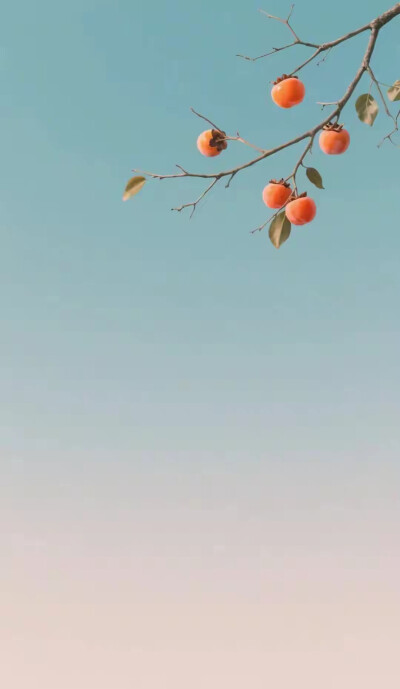 背景