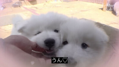 ૮₍ ᵔ⤙ᵔ ₎ა
