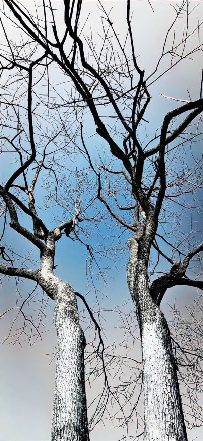 慢慢翻阅生活的彩页