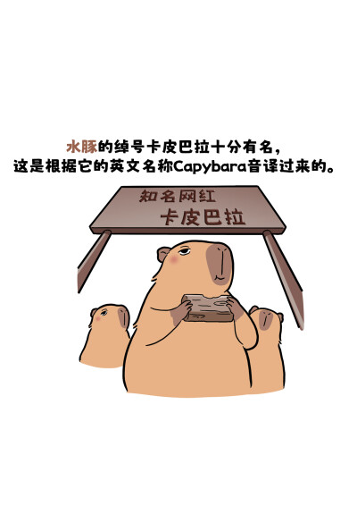 水豚憨态可掬的外表
﻿﻿@艾瑞巴蒂EveryBuddy﻿ ﻿@知识薯﻿ ﻿@薯宝宝﻿ ﻿@人文薯﻿ #巴蒂和她的朋友们#拥抱自然开心每一程#巴蒂魔法学院#原创漫画#科普#海洋#趣味知识科普﻿#水豚#卡皮巴拉