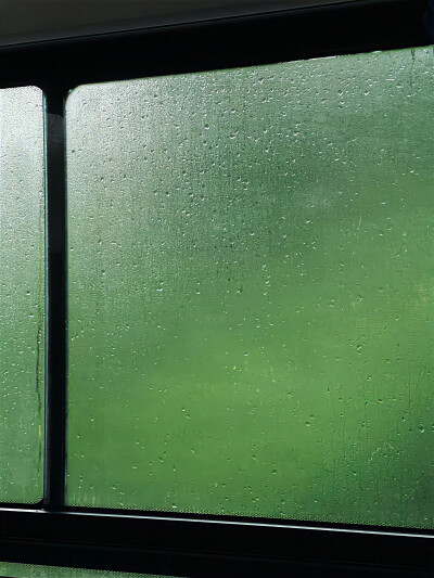 雨天背景图 绿色系背景图