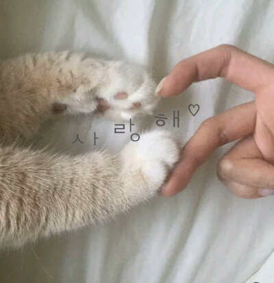 盼我多金 也盼我开心