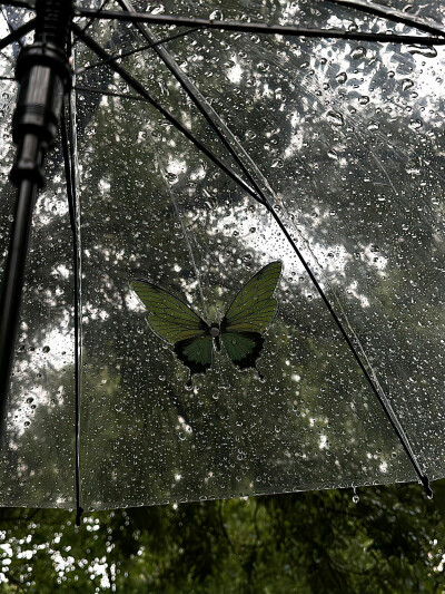雨天背景图 暗调背景图 黑色系背景图
