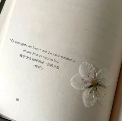 文案·图源微博