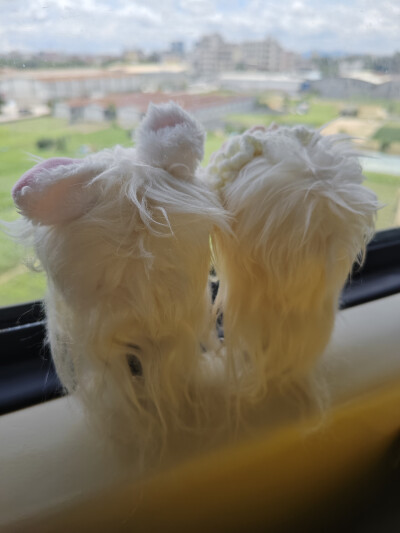 IP闪现广东谁能看到？