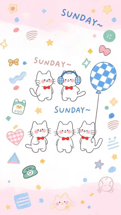 猫咪