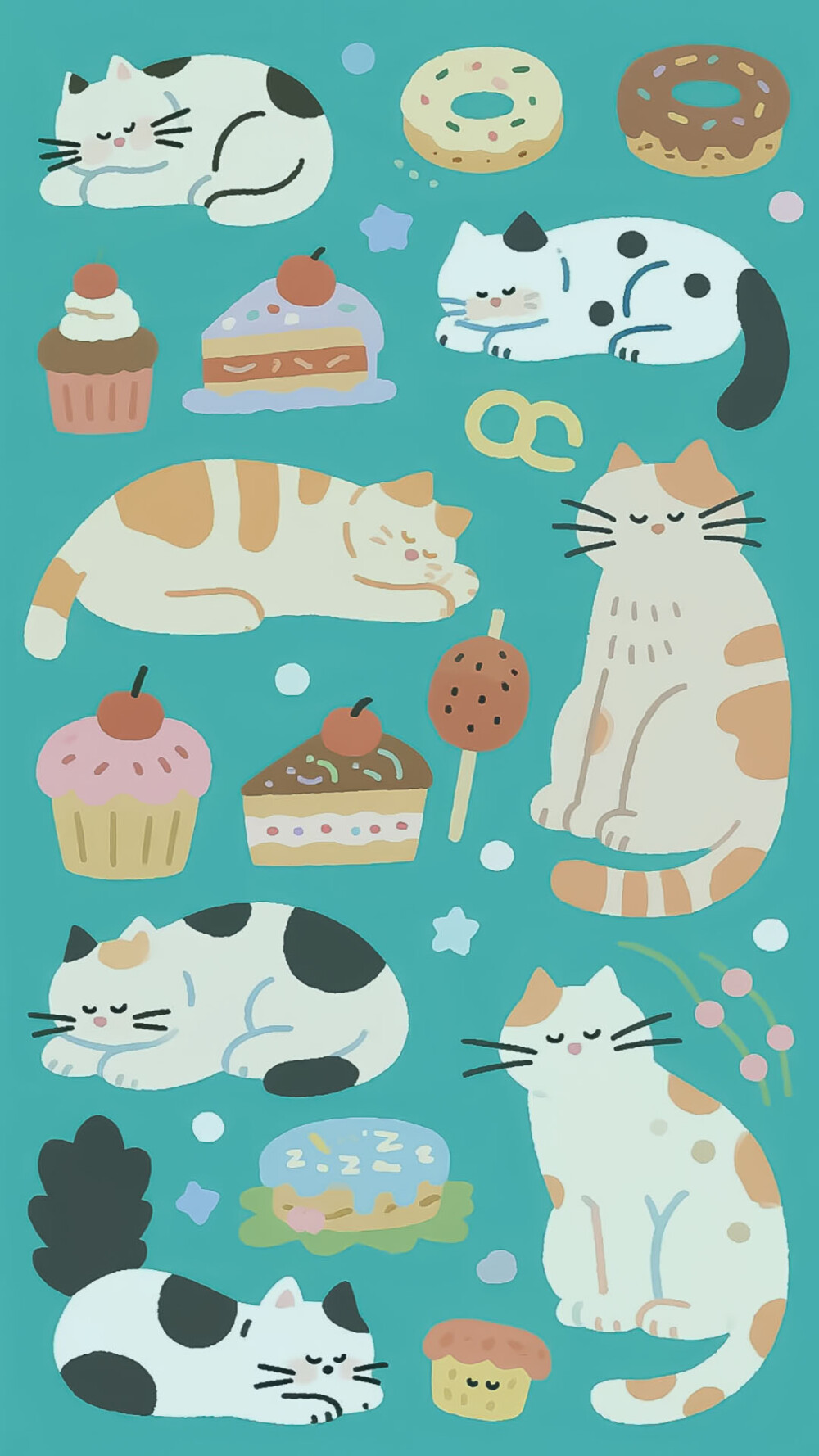 猫咪