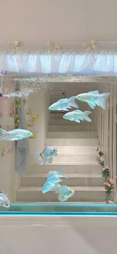 。