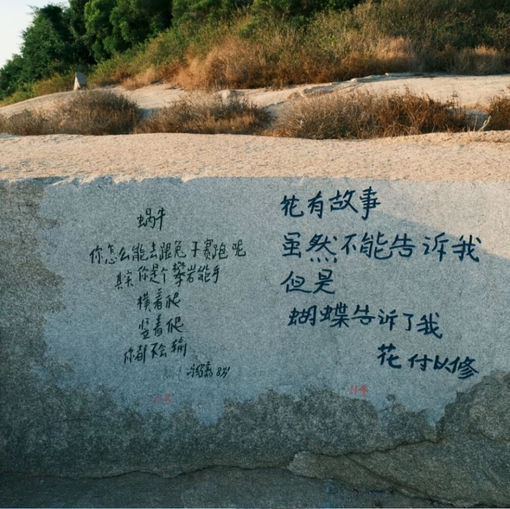 背景图 dt主唱涵