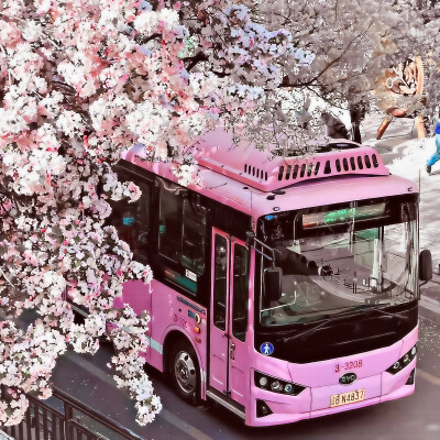 孟子义