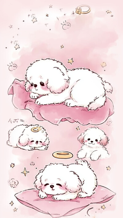 狗狗