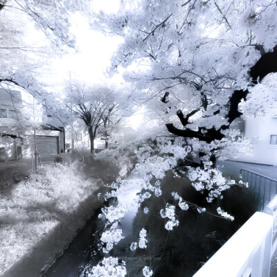 （formaggio）...渐渐晕染我内心的你、Раньше