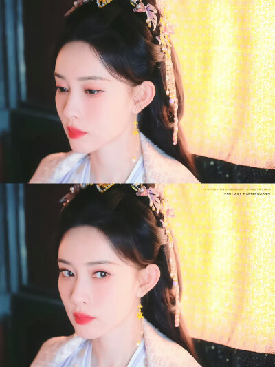 孟子义·姜桃花 桃花映江山