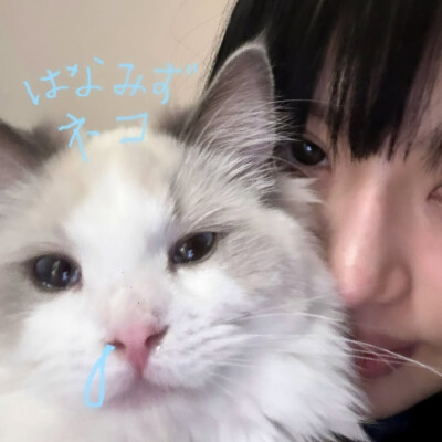 柳多恋