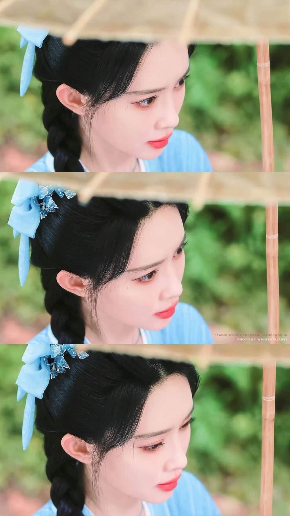 孟子义·姜桃花 桃花映江山