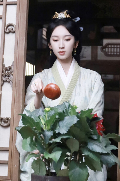 桃花映江山 孟蓁蓁