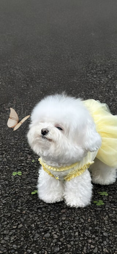 。