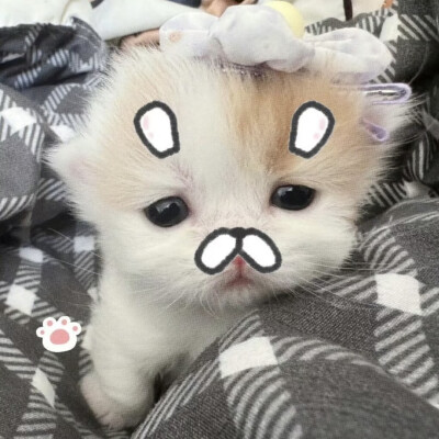 亿次方