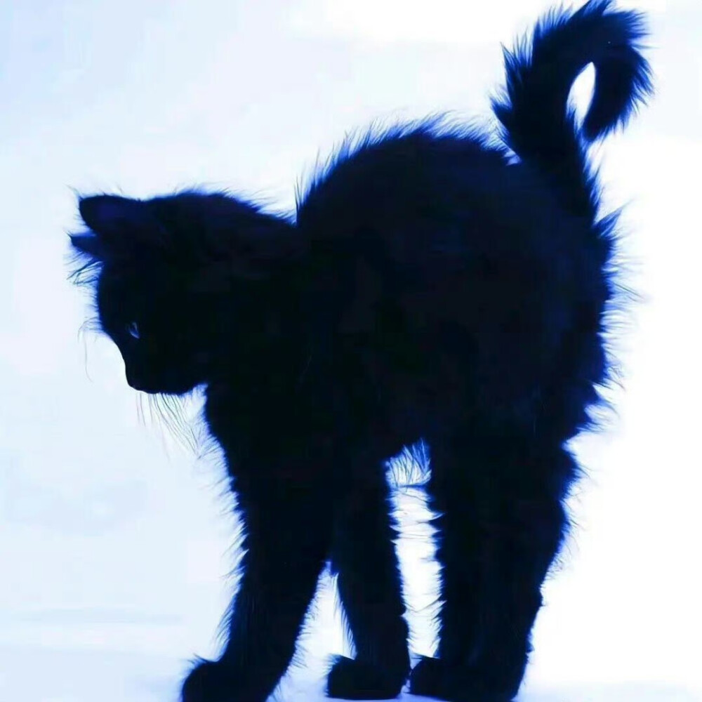 小众ins有个性漫画非真人头像