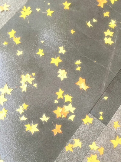 黄色系微信头像背景图