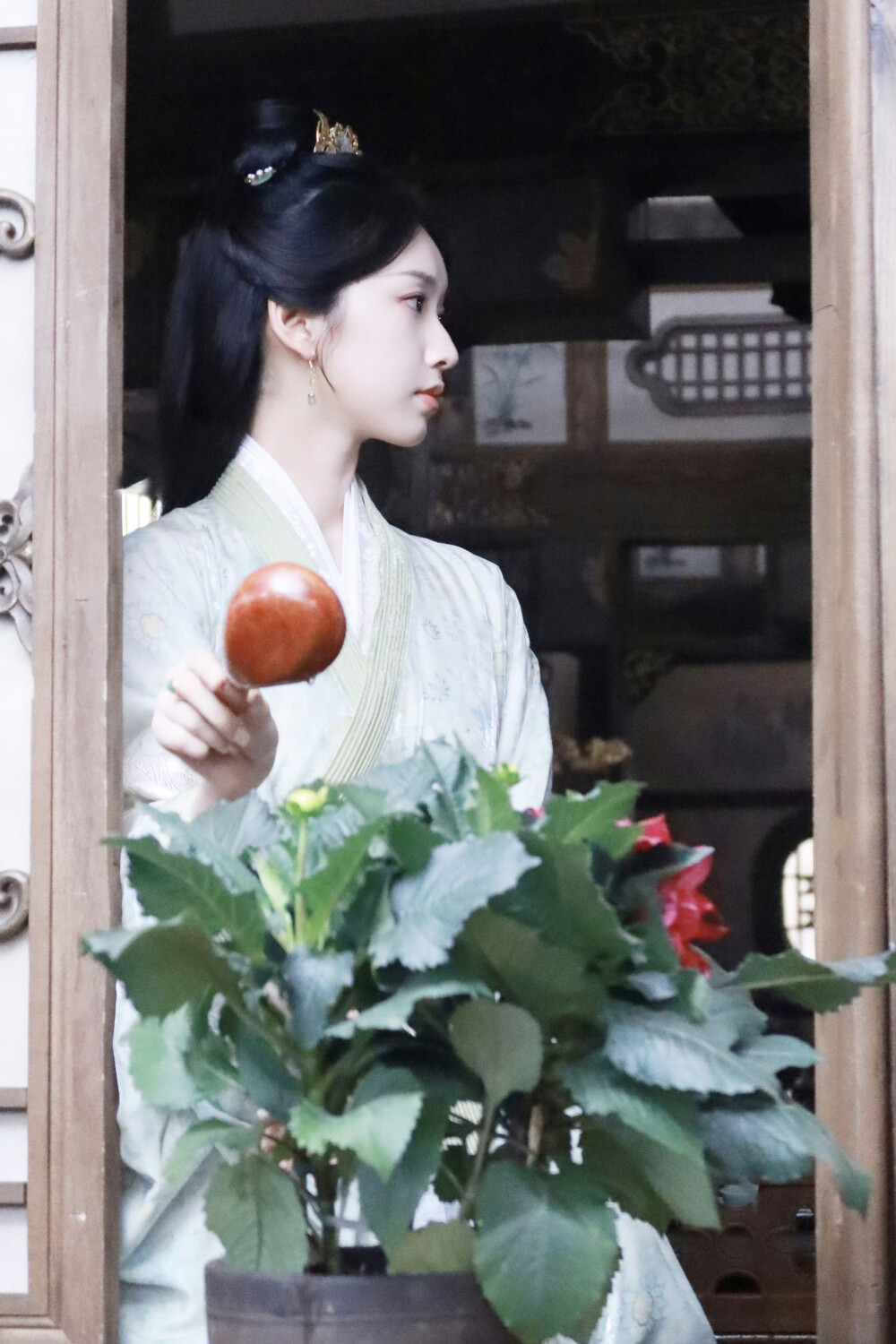 桃花映江山 孟蓁蓁