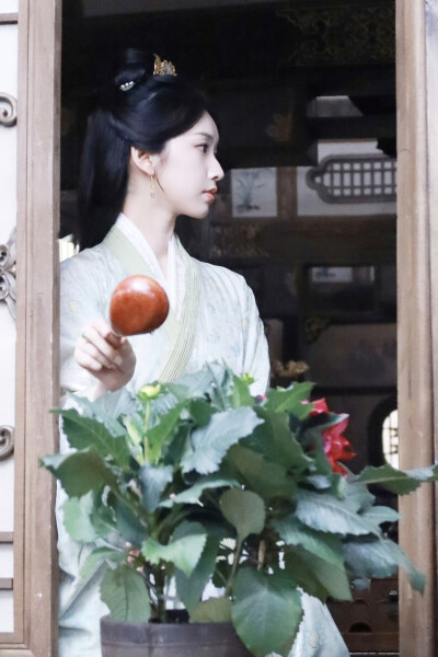 桃花映江山 孟蓁蓁