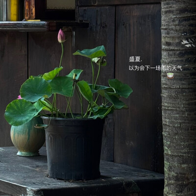 一场雨