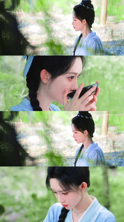孟子义·姜桃花 桃花映江山