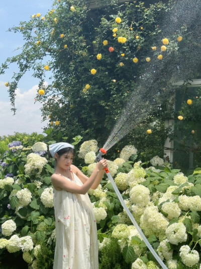 艾米