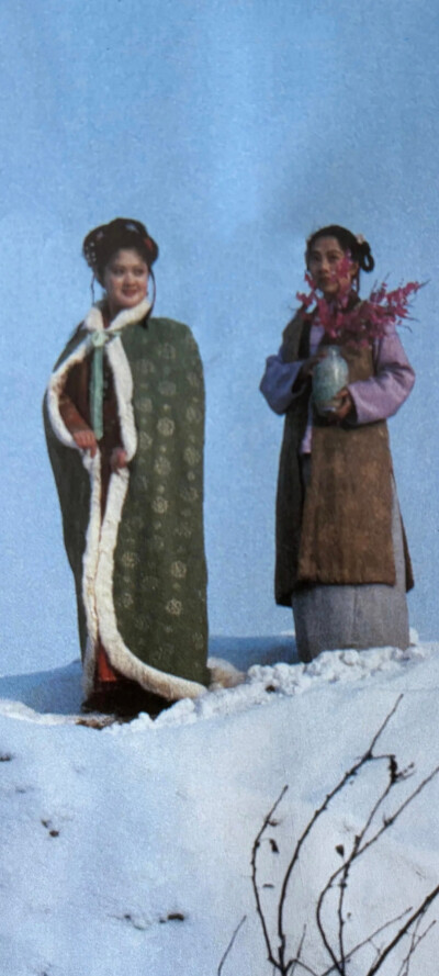 红楼梦