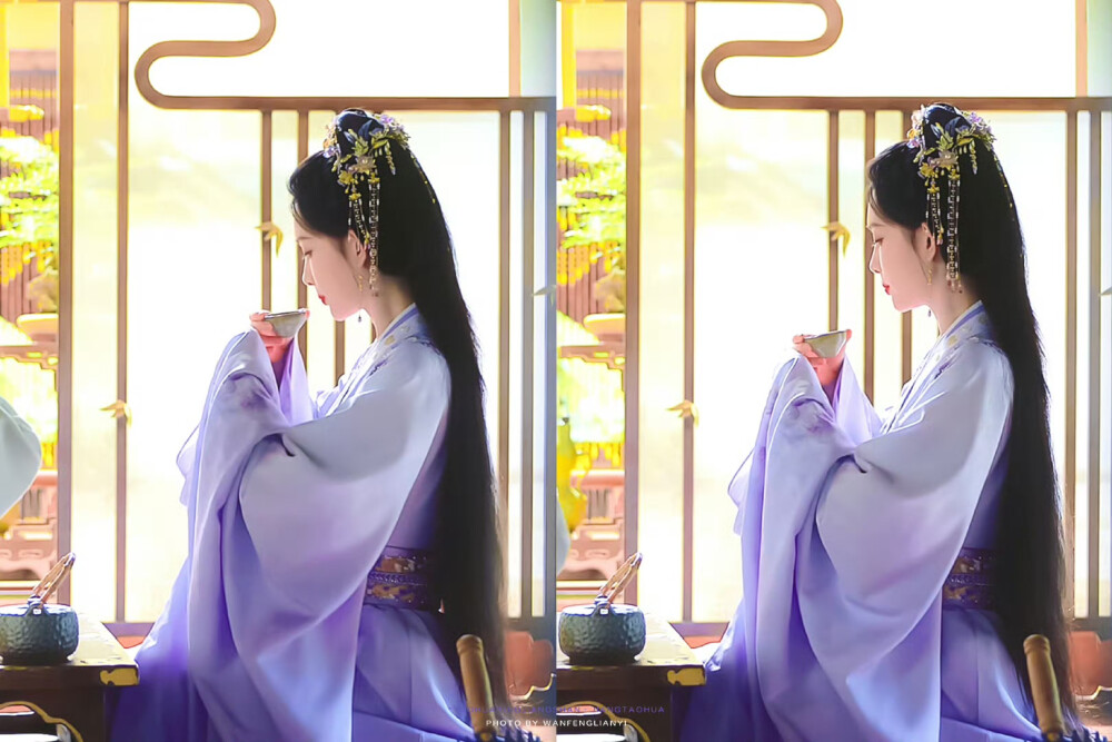 孟子义·姜桃花 桃花映江山