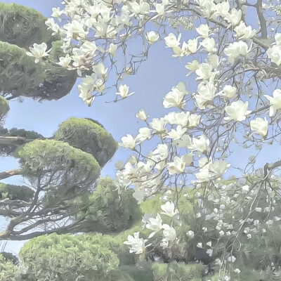 背景图