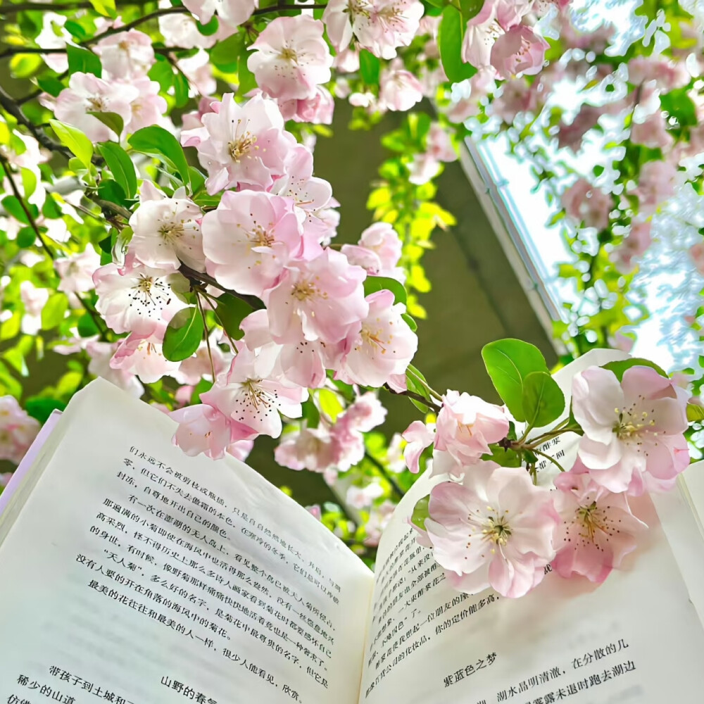 鞠婧祎