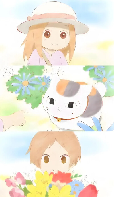 夏目壁纸