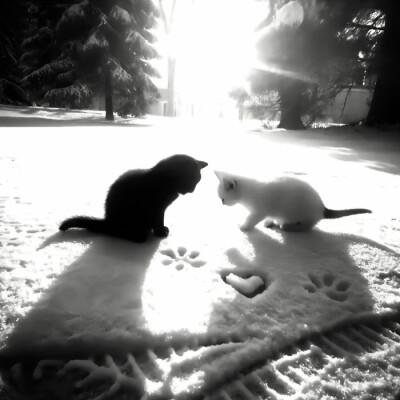 ///Love is game（播放幻想）…나인틴